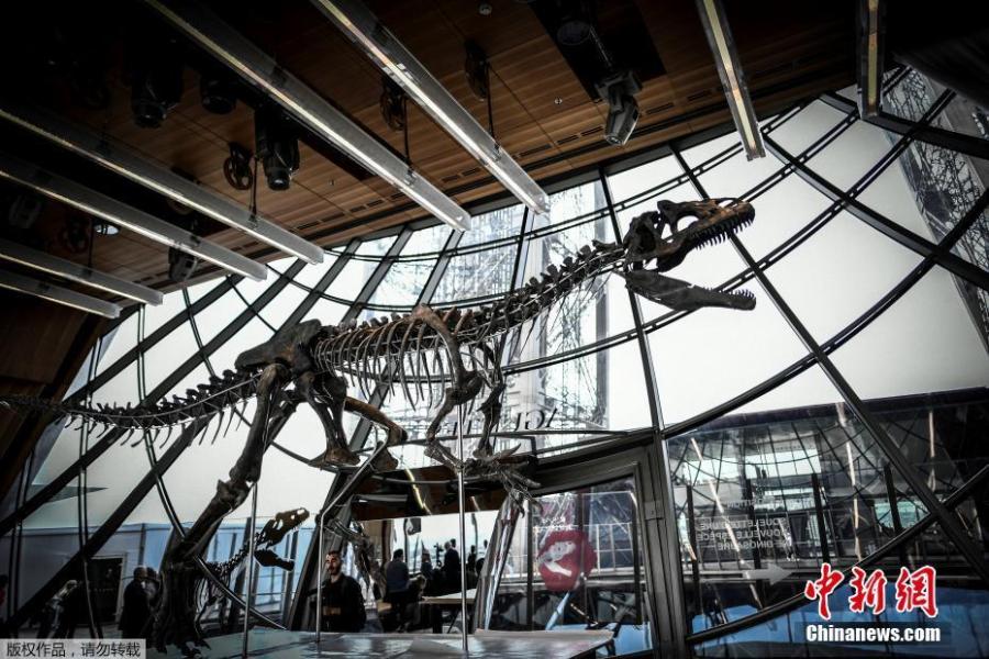 A dinosaur fossil is on display on the first floor of the Eiffel Tower in Paris, France, June 2, 2018. Discovered in Wyoming in 2013, the mysterious dinosaur skeleton fetched more than $2 million at an auction on June 4. The extremely rare dinosaur skeleton, thought to be a new species belonging to the theropod family, dates back to the late Jurassic period and is 150 million years old. (Photo/Agencies)