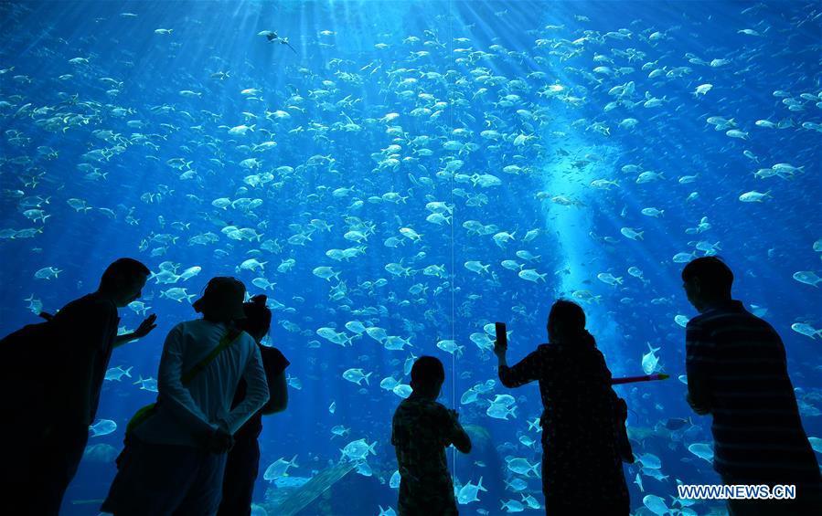 Tourists visit an aquarium in Sanya, south China\'s Hainan Province, Feb. 17, 2018. Hainan aims to be an international tourism consumption center. (Xinhua/Guo Cheng)