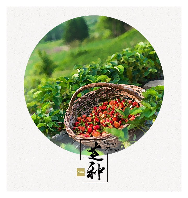 Therefore, the ancient Chinese brewed wines with the plums. They would put plums into rice wine and mix with crystal sugar, after this they would seal the mixture in a bottle for 30 days before drinking. Such drinks are widely loved by not only the Chinese, but many other citizens in Asia.

Today, people also make plum wine with alcohol, and such drinks can be preserved for years. As it is such an ancient drink, there are also many stories related with the drink, giving it a profound cultural significance as well.