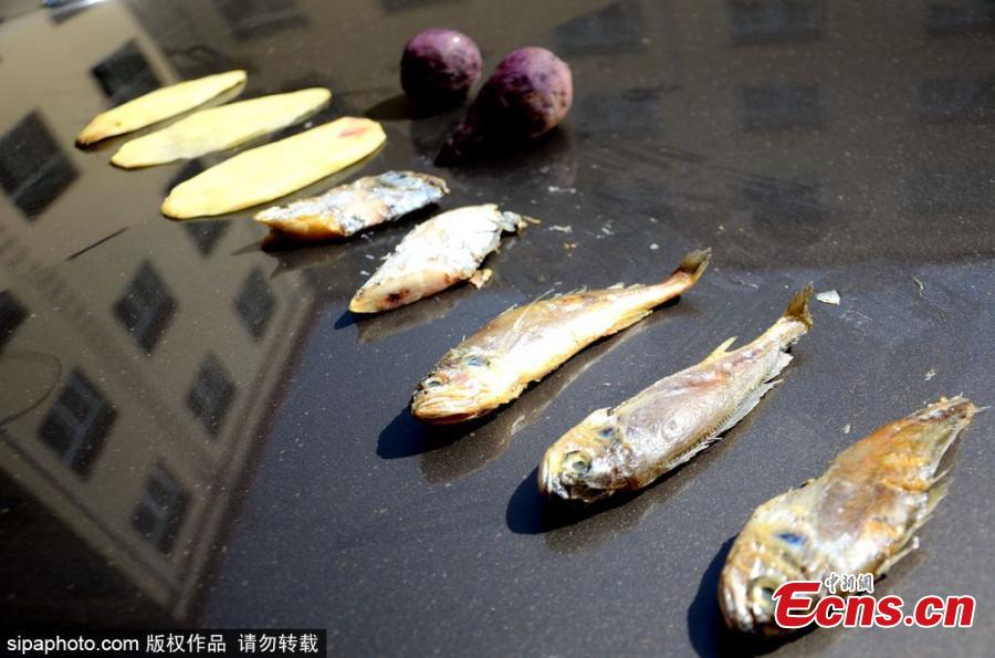 A woman grills fish, meat, potato slices and sweet potato on the bonnet of a car in Binzhou City, East China’s Shandong Province, June 5, 2018, as temperatures rise to nearly 40 degrees centigrade. It took half an hour to cook the fish. (Photo/SipaPhoto)