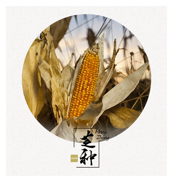 Even though the Chinese do not mark the day, there are detailed descriptions and records of the event in many Chinese classics, such as one of the best classics, “A Dream of the Red Mansions” written by Cao Xueqin, a writer of the Qing Dynasty (1644-1912).

It is indeed a farewell party, but not so sentimentally celebrated as it once was, since the flowers of the summer season are ready to bloom.