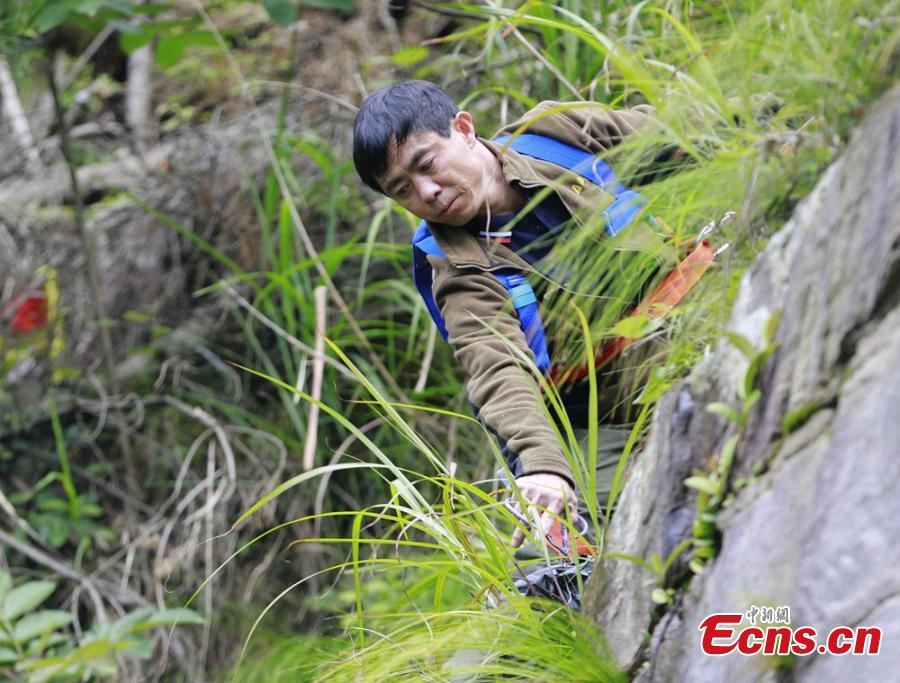 Sanitary worker Liu Wenhua collects garbage on a cliff while hanging from a cable at Wulingyuan scenic area in Zhangjiajie City, Central China’s Hunan Province, June 5, 2018. Liu, 48, has worked at the tourist attraction for nearly five years, mainly responsible for cleaning litter left by irresponsible visitors. (Photo: China News Service/Wu Yongbing)