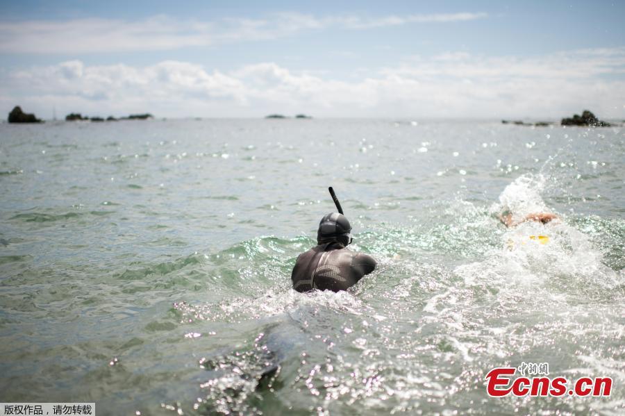 French marathon swimmer Benoit \'Ben\' Lecomte, takes the start of his attempt of swimming across the Pacific Ocean in Choshi, Chiba prefecture in Japan on June 5, 2018. Ben Lecomte dived into the Pacific Ocean on June 5, kicking off an epic quest to swim 9,000 kilometers (5,600 miles) from Tokyo to San Francisco, through shark-infested waters choking with plastic waste. (Photo/Agencies)