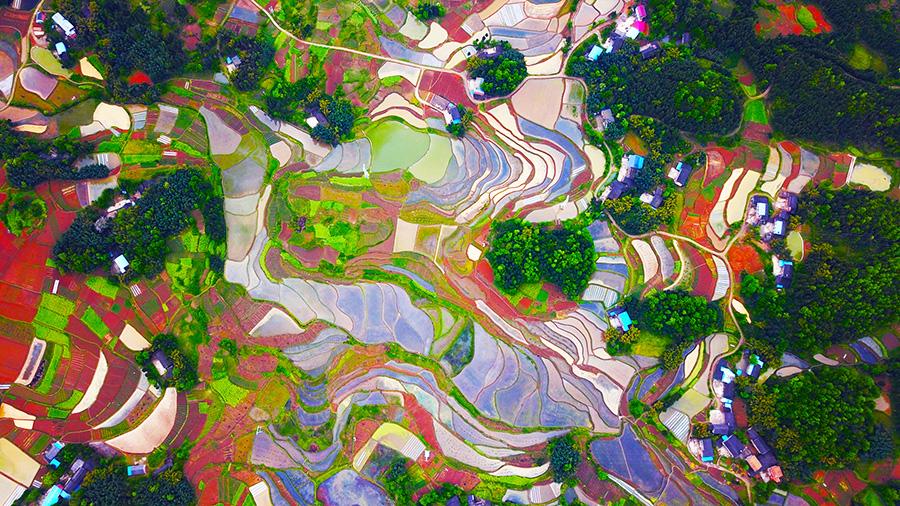 The aerial photo series of the countryside in SW China\'s Chongqing Liangping district wins the first prize at the 2018 National Yangtze River Photo Competition held by the Office of the Central Cyberspace Affairs Commission, the Ministry of Ecology and Environment and 11 local cyberspace affairs commissions in the Yangtze River Economic Belt. The photos were shot in April at Tiemen village, Tiemen county. The photo competition attracted 1,395 participants from all walks of life and their works reflected the natural beauty and people\'s life along the river. (Photo/China Daily)