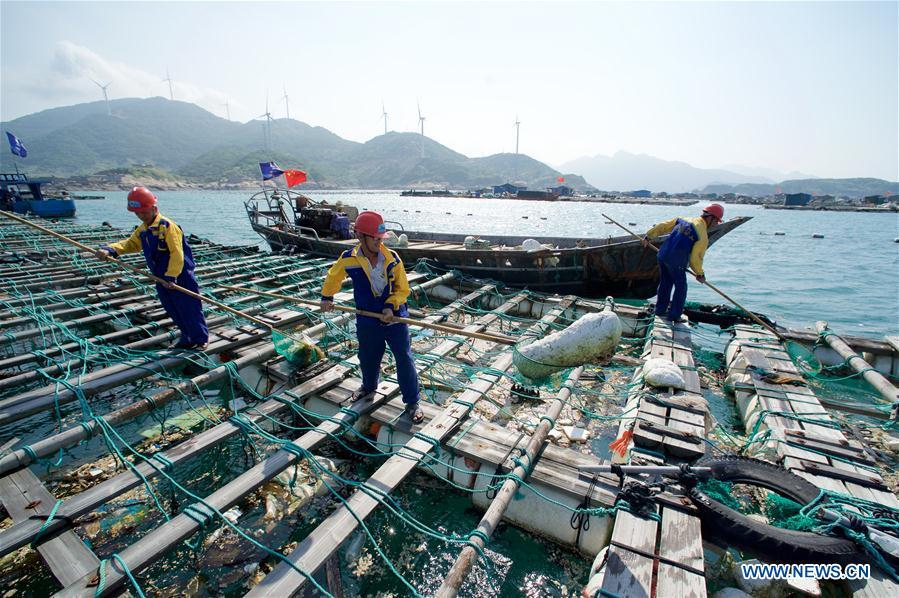 Cleaners clear the floating waste in the fish breeding rafts in Huangqi Township of Lianjiang County, southeast China\'s Fujian Province, June 6, 2017. World Oceans Day, a UN-designated day held annually on June 8, aims to arouse people\'s consciousness to preserve oceans on Earth. (Xinhua/Jiang Kehong)