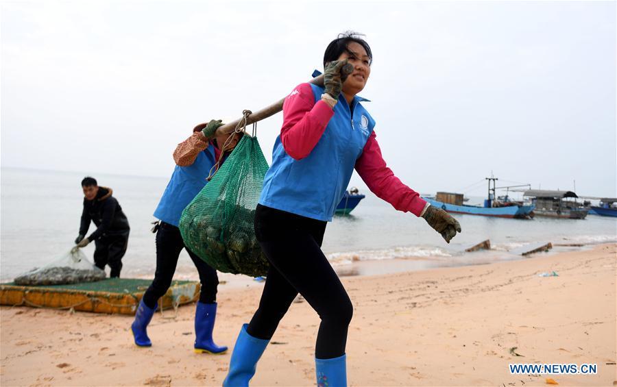 Pearl cultivators transfer shells at a pearl cultivation farm in Beihai City, south China\'s Guangxi Zhuang Autonomous Region, Dec. 7, 2017. World Oceans Day, a UN-designated day held annually on June 8, aims to arouse people\'s consciousness to preserve oceans on Earth. (Xinhua/Zhang Ailin)