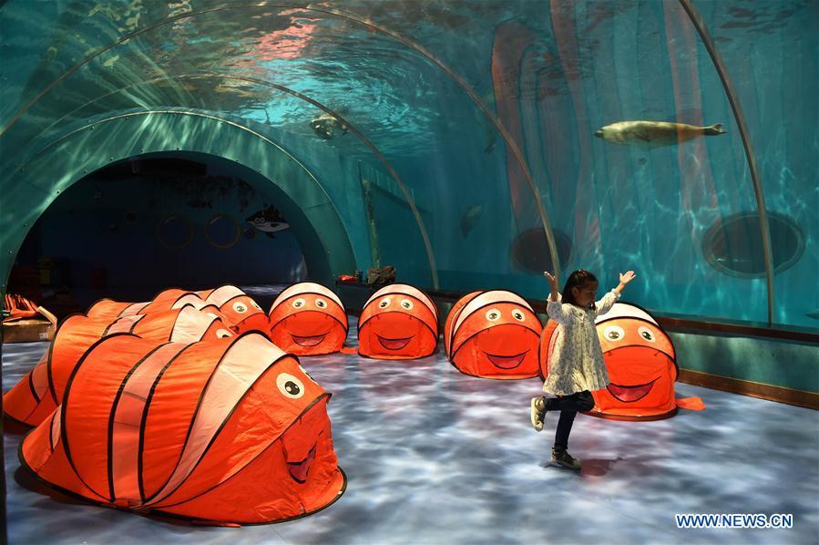 A little girl stays at a camp in Qingdao Haichang Polar Ocean Park in Qingdao, a coastal city in east China\'s Shandong Province, May 19, 2018. World Oceans Day, a UN-designated day held annually on June 8, aims to arouse people\'s consciousness to preserve oceans on Earth. (Xinhua/Li Ziheng)