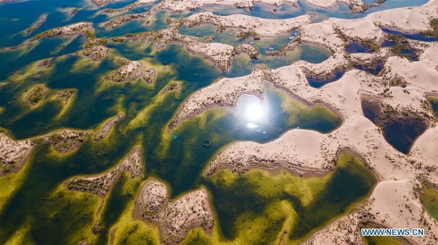 Aerial photo taken on June 9, 2018 shows a wetland in the Kubuqi Desert of Ordos City, north China\'s Inner Mongolia Autonomous Region. The wetland is formed by water of the Yellow River in flood period. (Xinhua/Peng Yuan)