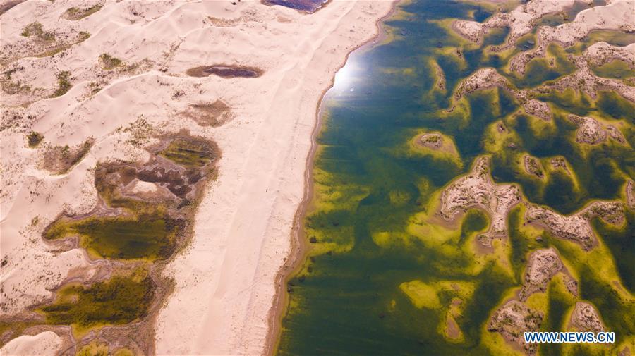 Aerial photo taken on June 9, 2018 shows a wetland in the Kubuqi Desert of Ordos City, north China\'s Inner Mongolia Autonomous Region. The wetland is formed by water of the Yellow River in flood period. (Xinhua/Peng Yuan)