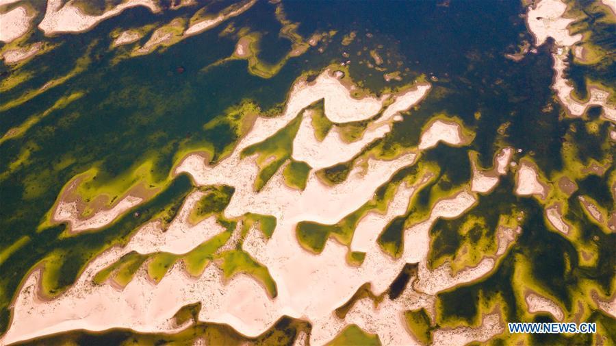 Aerial photo taken on June 9, 2018 shows a wetland in the Kubuqi Desert of Ordos City, north China\'s Inner Mongolia Autonomous Region. The wetland is formed by water of the Yellow River in flood period. (Xinhua/Peng Yuan)