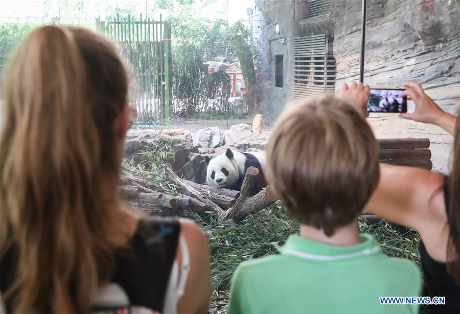 Guests visit giant panda Jiaoqing at Berlin Zoo in Berlin, Germany, June 9, 2018. Mengmeng and Jiaoqing, the two pandas from China, arrived in Berlin on June 24, 2017. They became superstar during their first-year\'s stay here in Berlin Zoo. (Xinhua/Shan Yuqi)