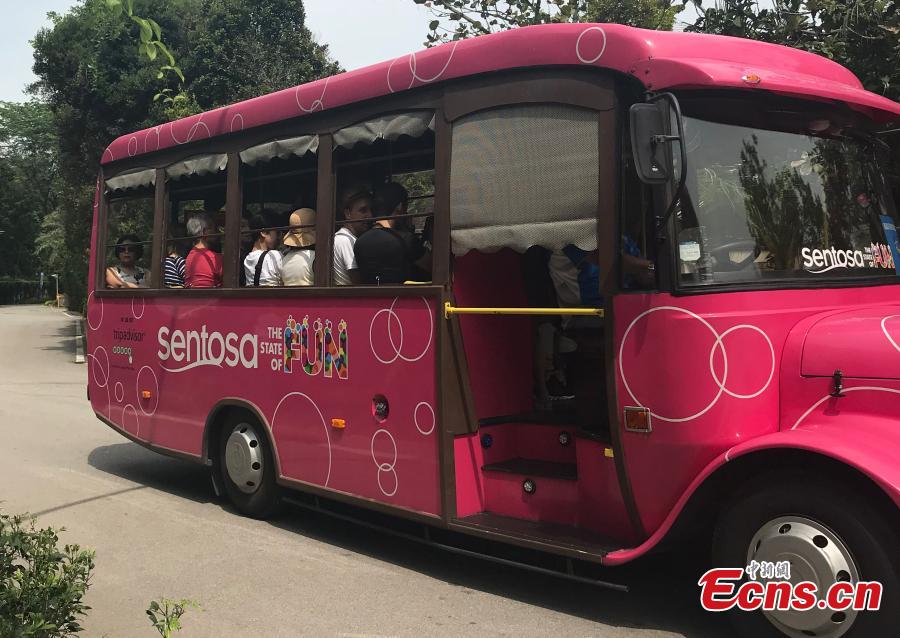 A shuttle bus on Sentosa Island, Singapore, June 10, 2018. (Photo: China News Service/Meng Xiangjun)