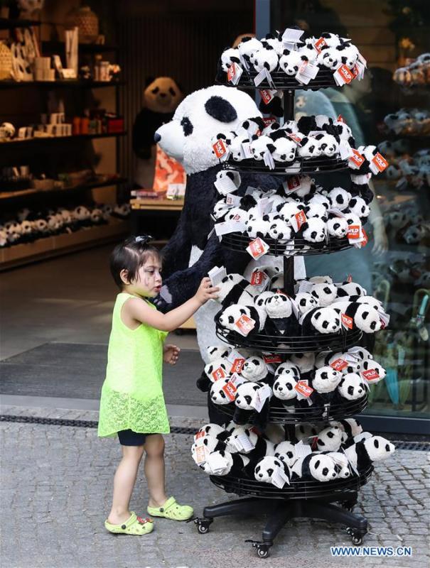 A girl picks panda souvenirs at Berlin Zoo in Berlin, Germany, June 9, 2018. Mengmeng and Jiaoqing, the two giant pandas from China, arrived in Berlin on June 24, 2017. They became superstar during their first-year\'s stay here in Berlin Zoo. (Xinhua/Shan Yuqi)