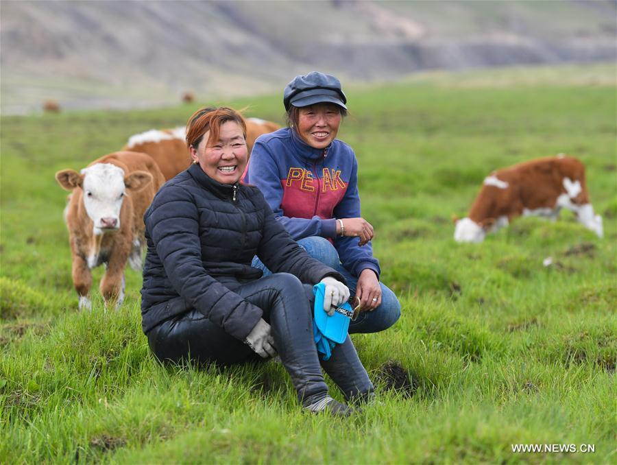 Aodunhu and Mudan pose for photo at the summer pasture after they arriving at the Ar Horqin Banner in Chifeng City, north China\'s Inner Mongolia Autonomous Region, June 5, 2018. June 5 was the day for Erden\'s family to move their cattle to a summer pasture, about 40 kilometers away from their family. It is a tradition for nomadic herdsmen spending their lives following the water and pasture. The transfer provides cattle and sheep abundant food and enables the grassland to renew itself. Erden and his sister drive their trucks loaded with living households and lead over 80 cattle towards the summer pasture. After 12 hours\' arduous journey, they arrived at their destination and prepared to set up yurt. They will stay here for a whole summer and return to their family in September. (Xinhua/Peng Yuan)