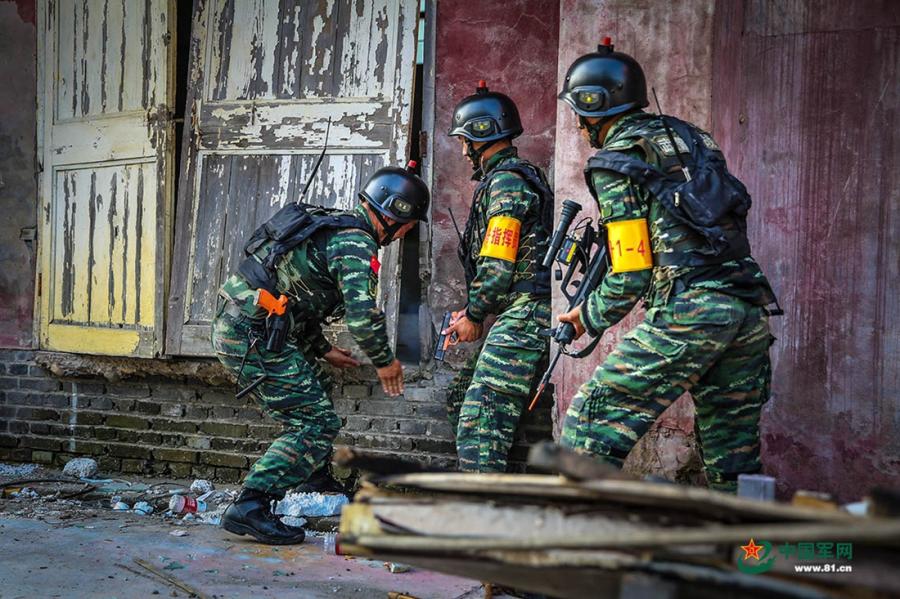 Soldiers throw a smoke grenade into a room before they break down the door in the operation area during the week-long rigorous training starting from June 11, 2018. (Photo/81.cn)