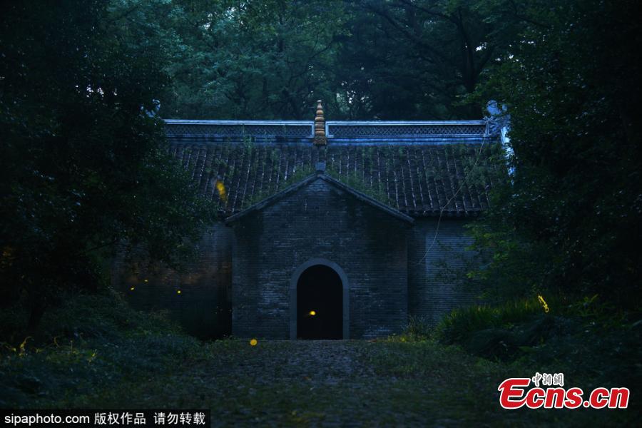 Fireflies glow around the Linggu Temple in Nanjing City, capital of East China’s Jiangsu Province. (Photo/Sipaphoto)