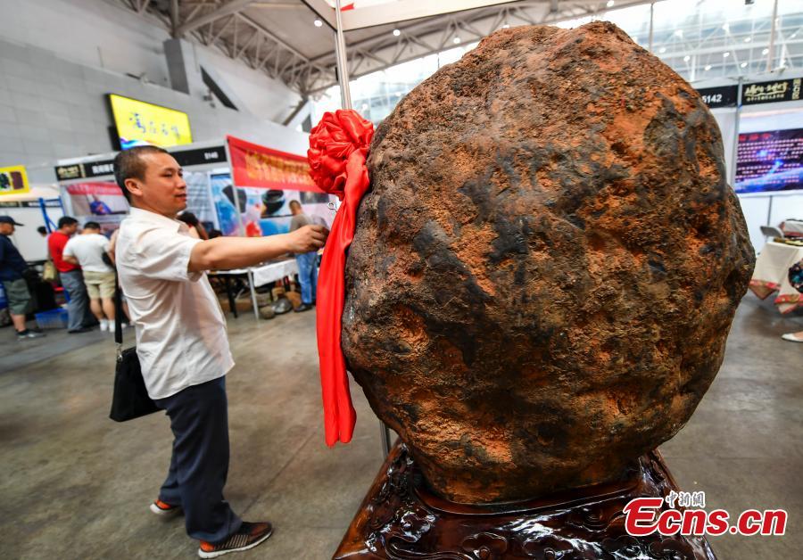 A rare stone is on display at an exhibition center in Urumqi, capital of northwest China\'s Xinjiang Uygur Autonomous Region, June 15, 2018. (Photo: China News Service/Liu Xin)