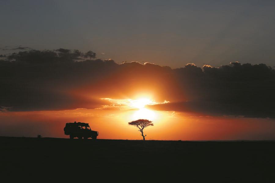 A tourist car stops for a sunset view in the Masai Mara National Reserve at the end of a day\'s game drive. More than 53,000 Chinese tourists visited Kenya in 2017. (PHOTO BY XIE SONGXIN/CHINA DAILY)

Day 6

Breakfast is usually followed by a full-day game drive in the park. There is always something new to see in Masai Mara, said Zhang Tong, CEO of the Beijing-based Zhongfa Group that manages AA Lodges in Kenya.

\