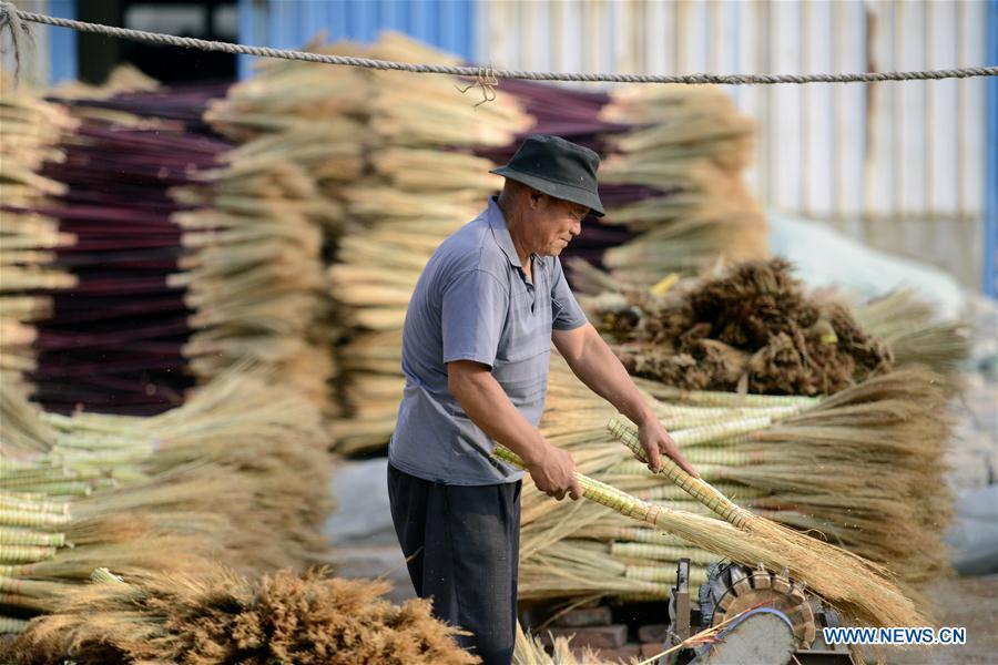 A man makes a broom at a broom professional cooperative in Maozhuang Town of Laoting County, north China\'s Hebei Province, June 19, 2018. Maozhuang Town has a long history in handmade brooms. In recent years, the town has set up several professional cooperatives on broom to manage this specialty industry intensively. At present, brooms produced in the town have been sold to many foreign markets such as South Korea and Japan, with annual export earnings reaching over 20 million yuan (3.09 mln U.S. dollars). (Xinhua/Mu Yu)