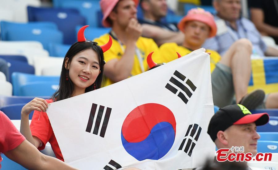 A fan during the match between Sweden and South Korea in Nizhny Novgorod Stadium, Nizhny Novgorod, Russia, June 18, 2018. (Photo/Agencies)