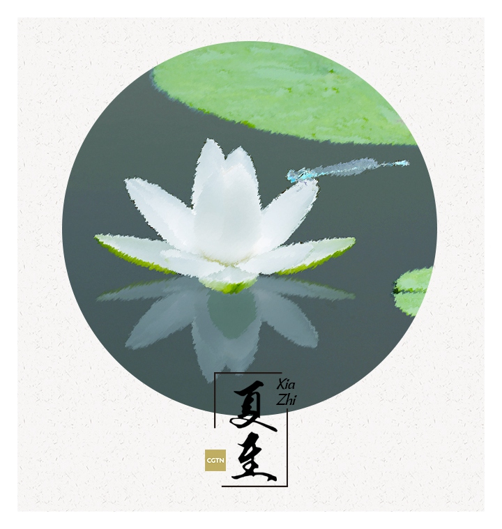Xiazhi begins when the sun reaches the celestial longitude of 90 degrees, which is also when the Northern Hemisphere sees the longest day and the shortest night of the year. The ancient Chinese believed that this time is when everything reaches its prime.

Falling on June 21, Xiazhi is the fourth solar term of the summer and the 12th of all the 24 solar terms of a year, which also divided the year into two halves.