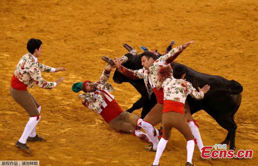 Members of Monsaraz forcados group perform during a bullfight at Campo Pequeno bullring in Lisbon, Portugal June 21, 2018. (Photo/Agencies)