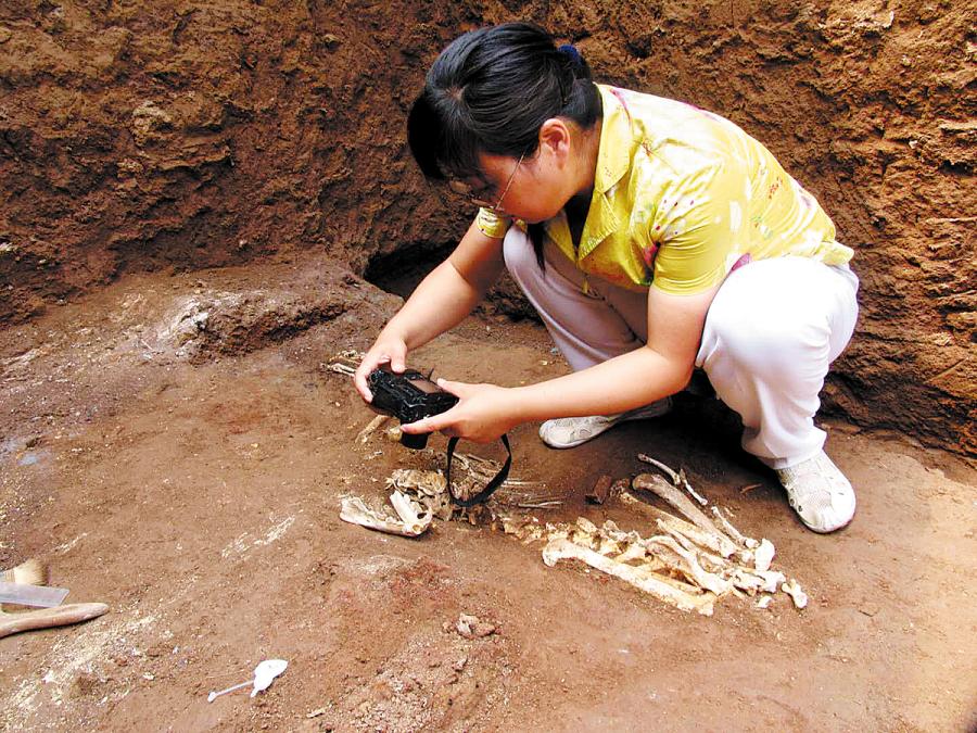 Zooarchaeologist Hu Songmei photographs a skeleton at a tomb in Xi\'an, Shaanxi province, where she and colleagues found the bones of an extinct gibbon. (Photo provided to CHINA DAILY)

Gibbons belong to a family of primates known as lesser apes. There are more than a dozen living gibbon species, all native to Asia. The apes have played an important role in Chinese culture for thousands of years and are present in ancient literature and art.

Despite their likely venerated status, researchers believe Junzi imperialis\'s extinction could have been human-driven. If so, the skull fragment provides some of the earliest evidence of the extinction of an ape species due to historic hunting and capture or habitat loss.