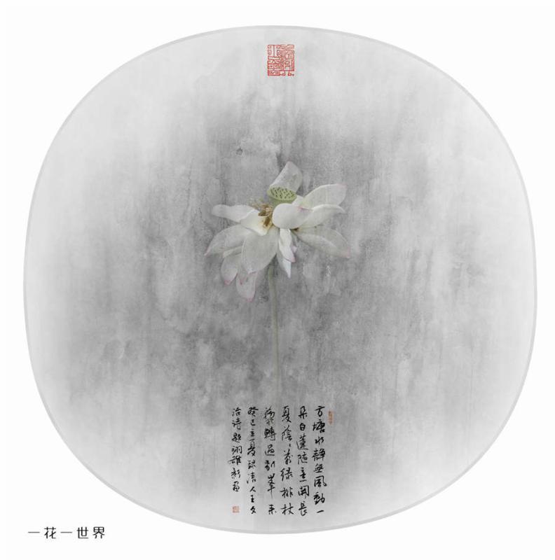 A creative lotus photograph by Chen Yixiong. (Photo provided by cpanet.org.cn)

Chen Yixiong, a photographer from Chaozhou city in Guangdong province, has dedicated himself to combining Chinese lotus painting with photography, creating distinct lotus artworks.

Some of his lotus-themed works were selected by the 13th Shanghai International Photography Festival in 2016 and won the gold award at the 25th Guangdong Photography Exhibition in 2014.

The lotus symbolizes holiness and purity, and has been praised by writers and poets across all generations. \