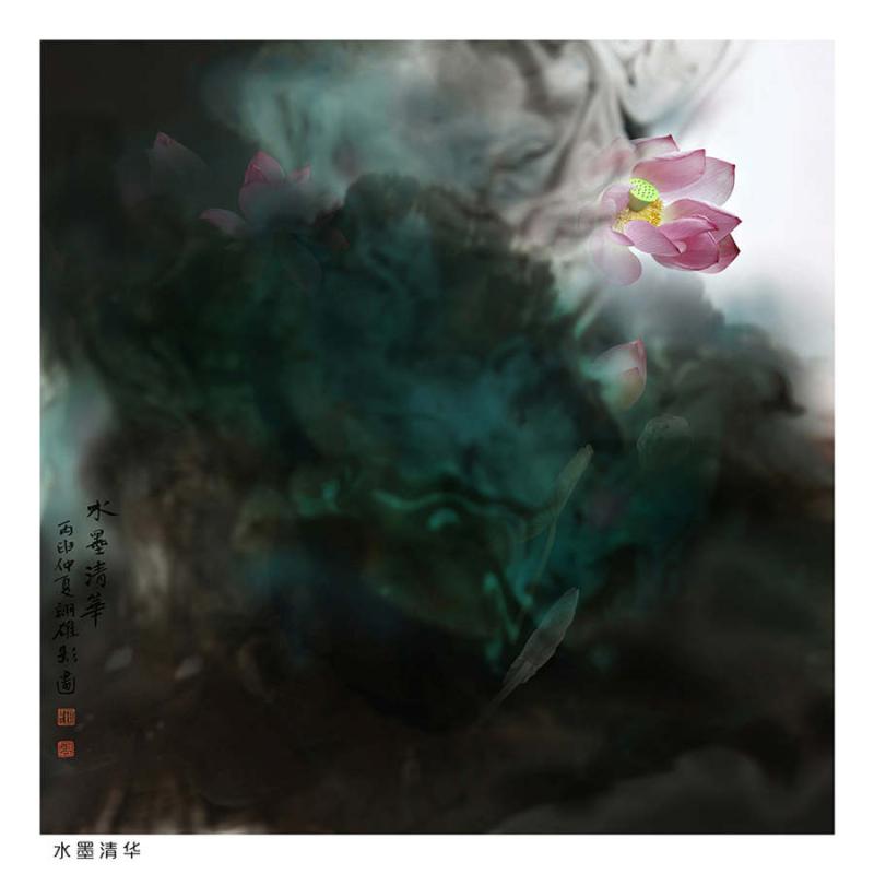 A creative lotus photograph by Chen Yixiong. (Photo provided by cpanet.org.cn)
