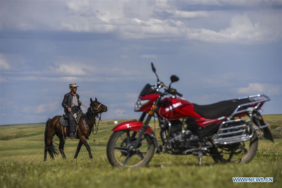 A herdsman rides a horse at the summer pasture on the Barlik Mountain in Yumin County, northwest China\'s Xinjiang Uygur Autonomous Region, June 22, 2018. Local herdsmen have transferred their livestock to summer pastures on the Barlik Mountain since late June and will stay here until September. Local authorities has devoted efforts in recent years to protect the ecological environment on the pasture and upgrade driveways to improve the infrastructure construction in the pasturing area. (Xinhua/Hu Huhu)