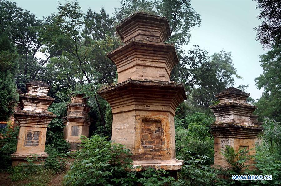 Photo taken on June 26, 2018 shows the pagoda forest of the Fengxue Temple in Ruzhou City, central China\'s Henan Province. Renowned in Ruzhou, the unique Fengxue Temple has a history of over 1,800 years with over 80 pagodas. Pagodas built in ancient times in Henan act not only as landmarks for sight-seeing, but also as observers of the Chinese history. (Xinhua/Li An)