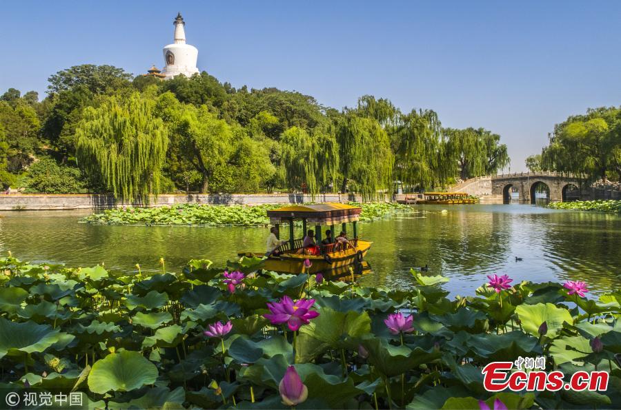 Beijing sees blue sky as high temperatures grill the city  on June 27, 2018. The heat waves will last six days. (Photo/VCG)