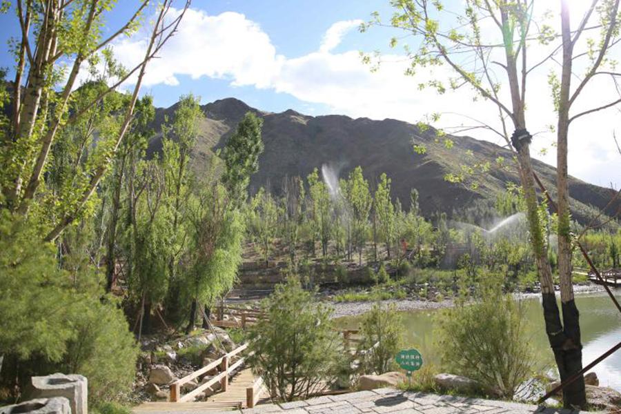 Nanshan park in Lhasa, Tibet autonomous region, June 19, 2018. (Photo/youth.cn)

Planting trees on mountains in Tibet is hard because of its dry climate, poor soil, strong winds and big temperature difference between day and night.

However, the local people succeeded to plant trees on Nanshan mountain and Beishan mountain with an average elevation of between 3,650 meters and 4,050 meters, and the average gradient on 60 degrees.

The program of tree planting on mountains around Lhasa started in 2012, and the city has greened its Nanshan mountain and Beishan mountain totaling 4,573 mu now.