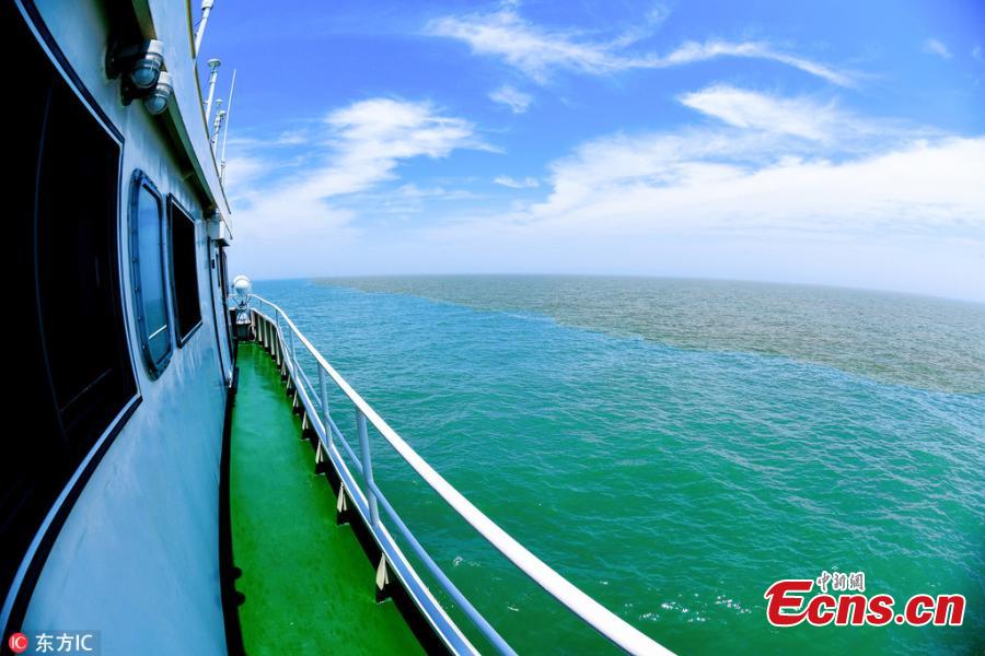 Muddy and clear waters converge in the Yellow River estuary in Dongying City, East China’s Shandong Province, June 24, 2018. (Photo/IC)