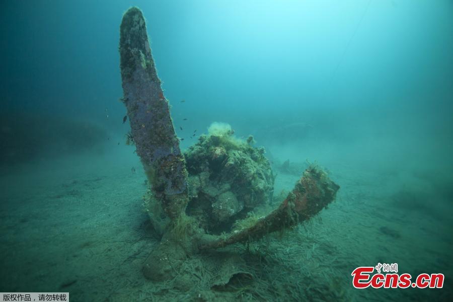 A French military diver member of the FS Pluton M622 navy de-mining ship, swims on July 2, 2018, above the wreck of an USAAF P-47 Thunderbolt (Warthog) US fighter plane, which crashed in 1944 during the Second World War (WWII), off the French Mediterranean island of Corsica, where a unite was based from 1944 at what was then dubbed the \'Alto airfield\' on the east coast of the island. The US agency the Defense POW/MIA Accounting Agency (DPAA) along with the help of the French navy are using divers to search for any remains of the US pilots that died during WWII and to identify them using their DNA, also collecting any other relevant material. (Photo/Agencies)