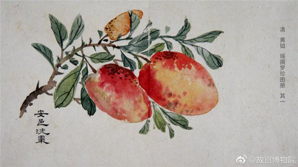 A painting by Qing Dynasty artist Huang Yue portrays jujubes from ancient Anyi city. (Photo/Official Weibo account of the Palace Museum)