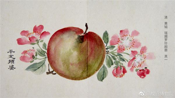 A painting by Qing Dynasty artist Huang Yue portrays an apple. (Photo/Official Weibo account of the Palace Museum)