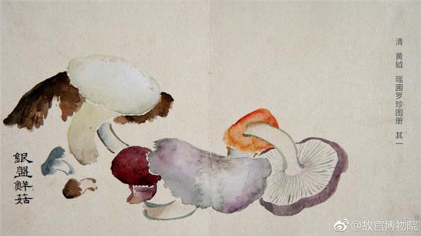 A painting by Qing Dynasty artist Huang Yue portrays fresh mushrooms. (Photo/Official Weibo account of the Palace Museum)
