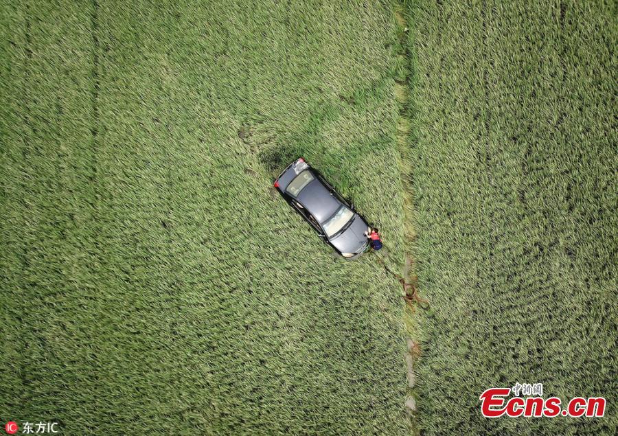 A car is washed into a rice paddy field during a flood caused by rainstorms in Huilong Town, Southwest China’s Sichuan Province, July 3, 2018. (Photo/IC)
