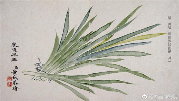 A painting by Qing Dynasty artist Huang Yue portrays Chinese chives. (Photo/Official Weibo account of the Palace Museum)