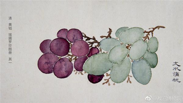 A painting by Qing Dynasty artist Huang Yue portrays grapes. (Photo/Official Weibo account of the Palace Museum)