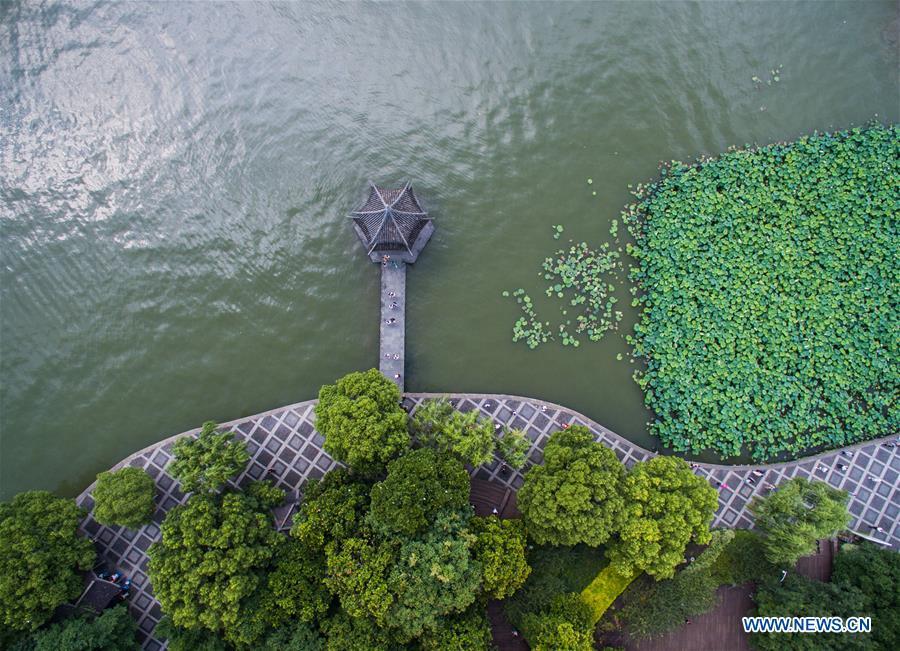 Aerial photo taken on July 6, 2018 shows the summer scenery of the West Lake in Hangzhou, east China\'s Zhejiang Province. (Xinhua/Xu Yu)
