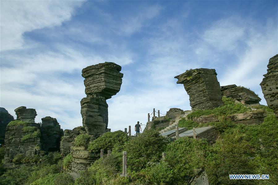 Photo taken on Aug. 29, 2016 shows the scenery of Mount Fanjingshan in Tongren City, southwest China\'s Guizhou Province. Mount Fanjingshan was inscribed on the World Heritage List on July 2, 2018 at the 42nd World Heritage Committee meeting in Bahrain. The ecosystem of Fanjingshan has preserved large numbers of ancient relict plants, rare and endangered creatures, as well as unique species. (Xinhua/Yao Lei)