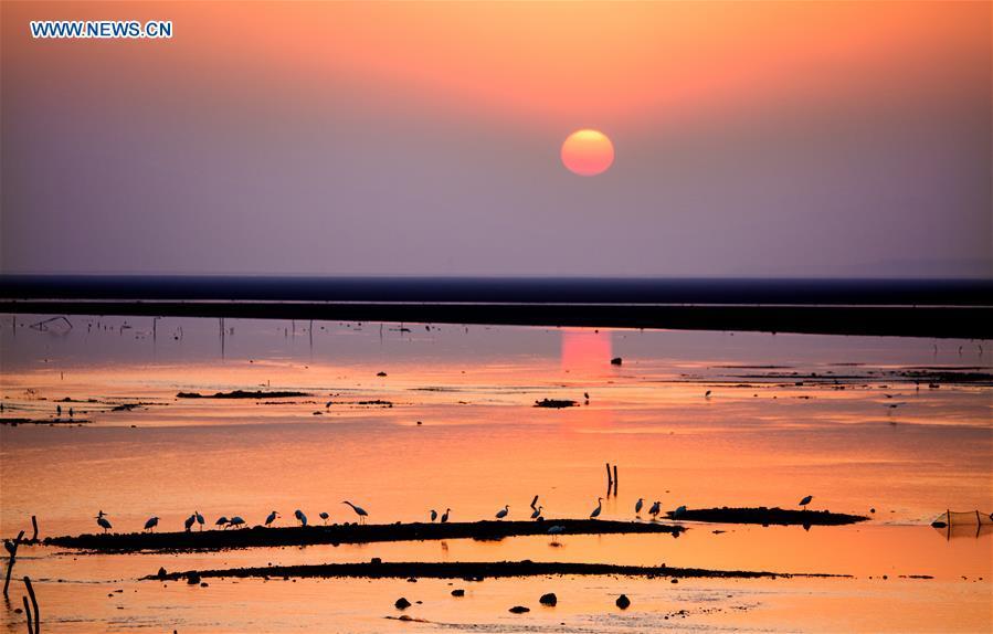Photo taken on Dec. 28, 2017 shows sunset scenery of the Poyang Lake wetland in east China\'s Jiangxi Province. China, with a total wetland area of 53.6 million hectares, ranks first in Asia and fourth in the world, official data showed. The statistics were released by the National Forestry and Grassland Administration at the Eco Forum Global Annual Conference held in southwest China\'s Guizhou Province. China has 57 wetlands that are of international importance, 602 wetland nature reserves and 898 national wetland parks, according to the administration. In the country\'s wetland ecosystem, there are 4,220 species of plant and 2,312 species of animals, with the wetland protection rate reaching 49 percent, the statistics showed. (Xinhua/Fu Jianbin)