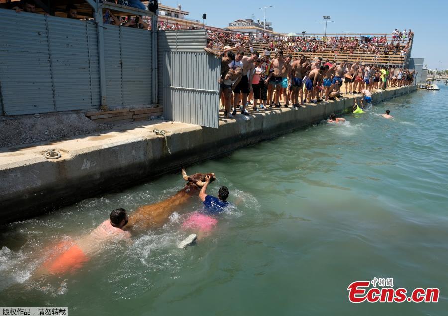 Revelers guide a bull to safety during the \