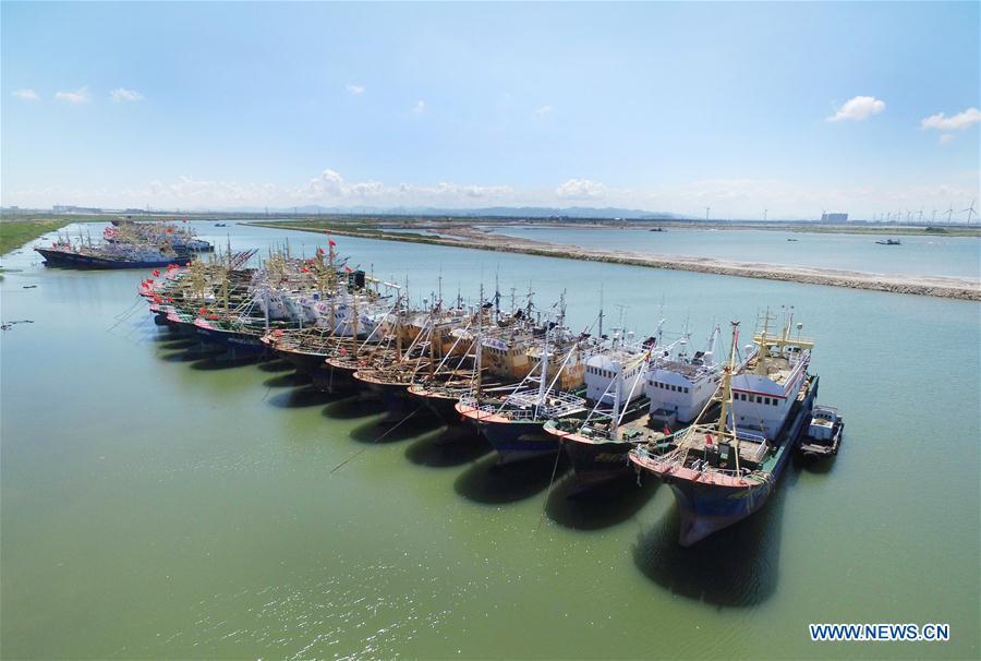 Fishing boats are seen at berth at a harbor in Songmen Township of Wenling City, east China\'s Zhejiang Province, July 9, 2018. A yellow-level alert has been issued and third-level emergency response has been activated to cope with approaching typhoon Maria, the eighth typhoon this year, in China\'s coastal provinces. (Xinhua/Liu Zhenqing)