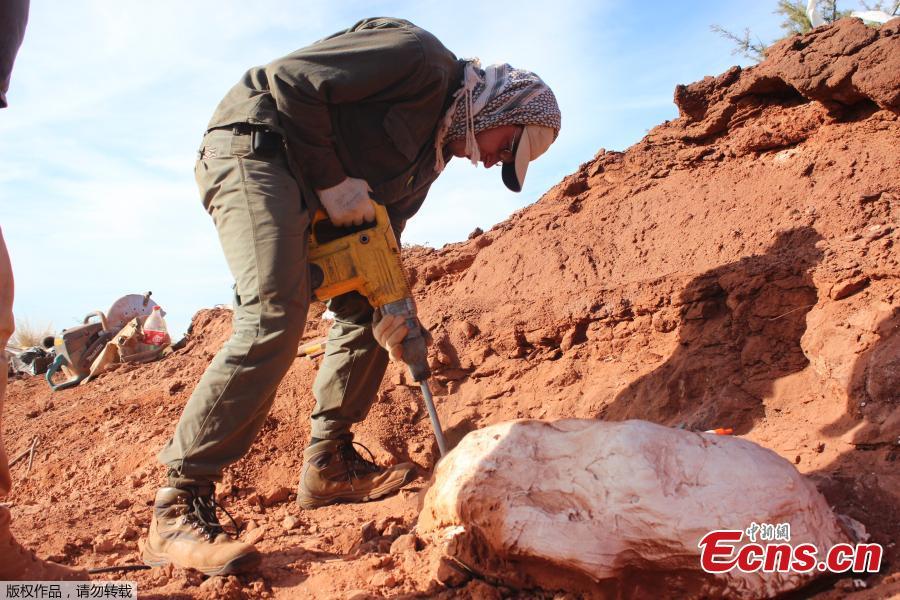 Photo released on July 9, 2018 shows an investigator works on the extraction of the remains of a giant dinosaur -- \