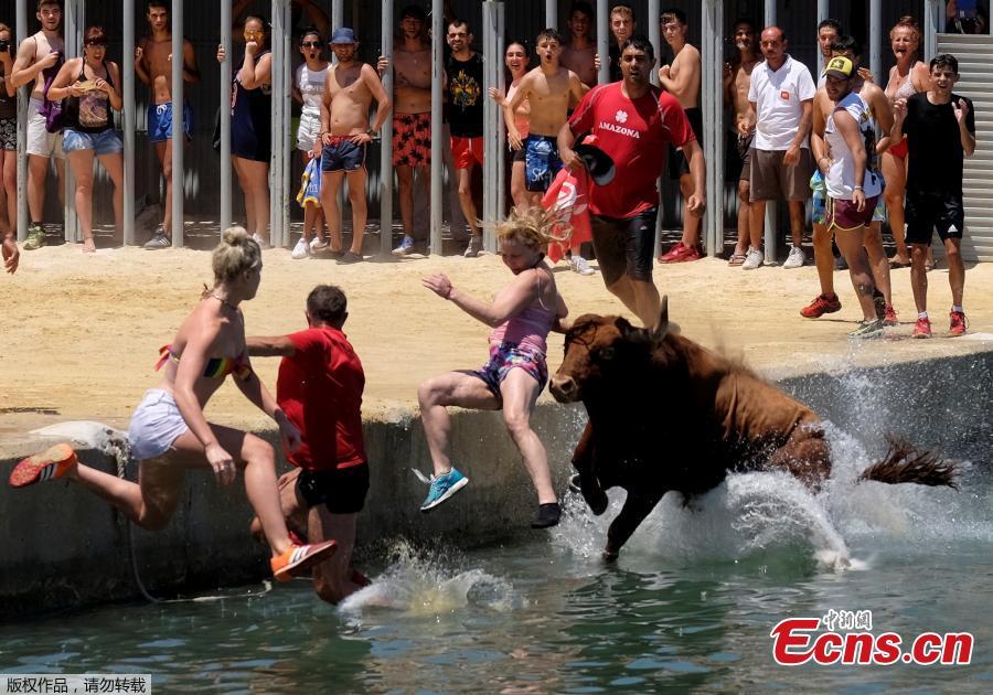 Revelers chasing a bull jump into the sea during the \