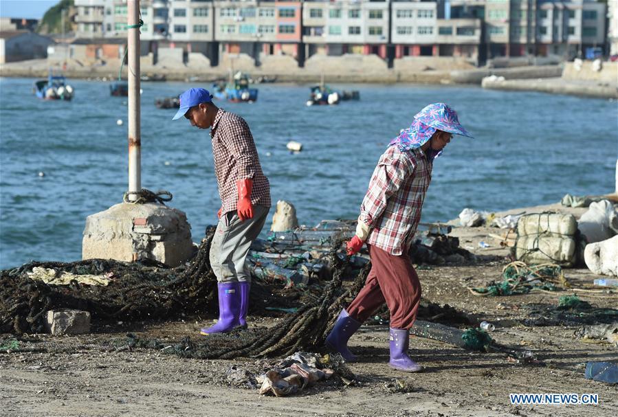 Fishermen relocate the fishing gear on the shore in Houwan Village of Tailu Town in Lianjiang County, southeast China\'s Fujian Province, July 10, 2018, as Typhoon Maria, the eighth typhoon this year, approaches the Chinese coast. China\'s National Meteorological Center (NMC) issued this year\'s first red alert for Typhoon Maria, which is expected to hit China\'s coastal provinces on Wednesday morning. (Xinhua/Jiang Kehong)