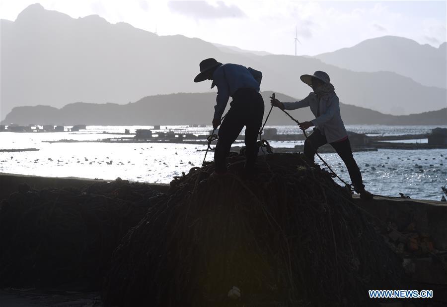 Fishermen reinforce the fishing gear on the shore in Houwan Village of Tailu Town in Lianjiang County, southeast China\'s Fujian Province, July 10, 2018, as Typhoon Maria, the eighth typhoon this year, approaches the Chinese coast. China\'s National Meteorological Center (NMC) issued this year\'s first red alert for Typhoon Maria, which is expected to hit China\'s coastal provinces on Wednesday morning. (Xinhua/Jiang Kehong)